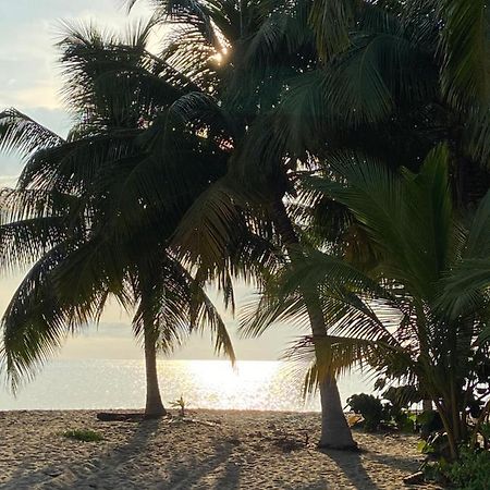 Anda Di Hows Hostel Placencia 외부 사진