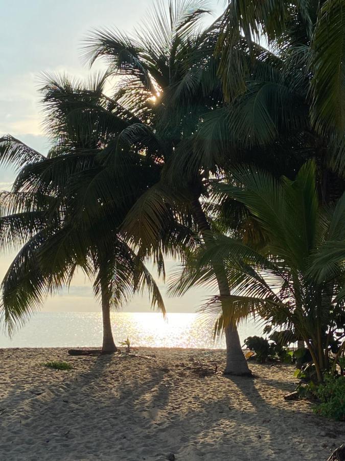 Anda Di Hows Hostel Placencia 외부 사진