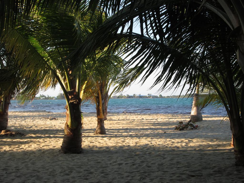 Anda Di Hows Hostel Placencia 외부 사진