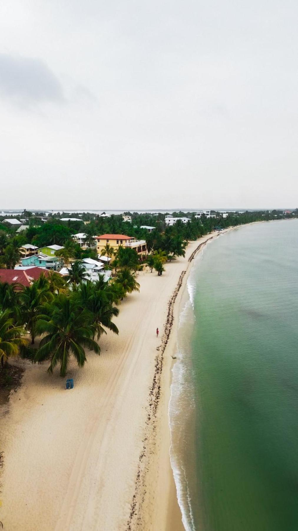 Anda Di Hows Hostel Placencia 외부 사진
