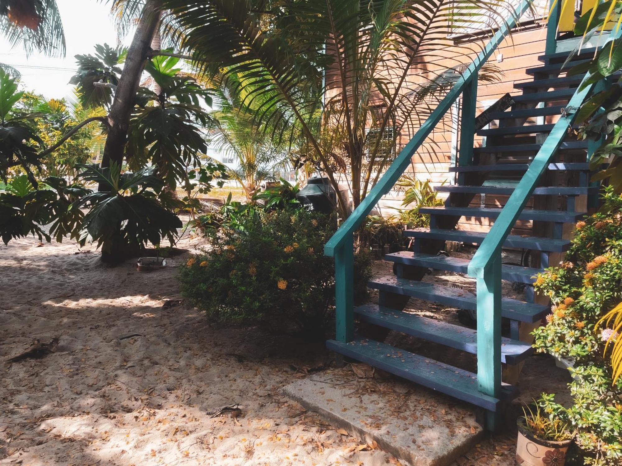 Anda Di Hows Hostel Placencia 외부 사진