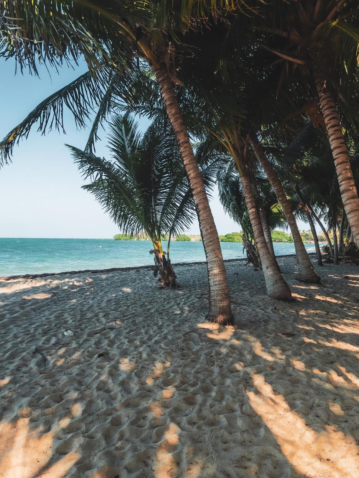 Anda Di Hows Hostel Placencia 외부 사진