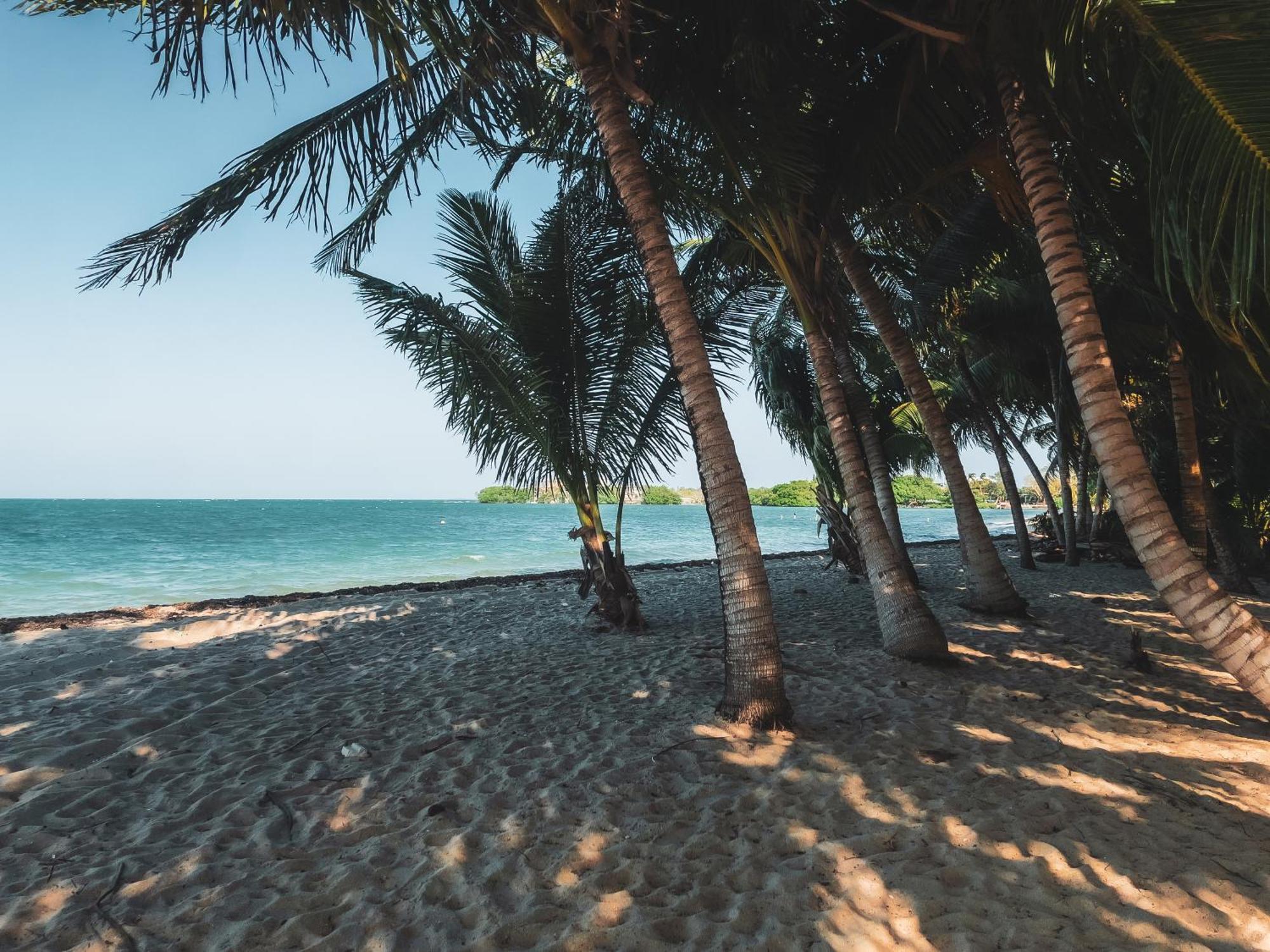 Anda Di Hows Hostel Placencia 외부 사진
