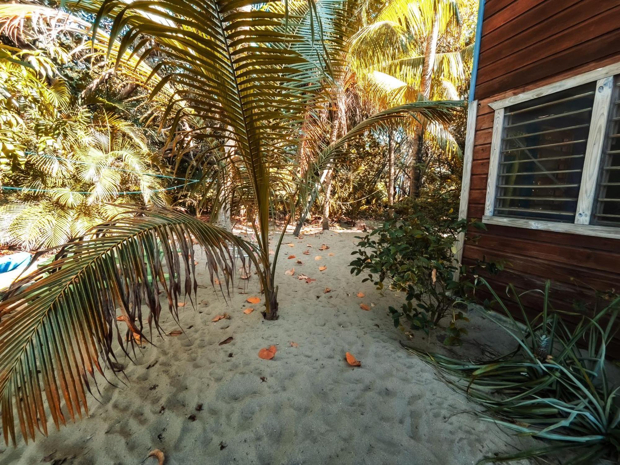Anda Di Hows Hostel Placencia 외부 사진