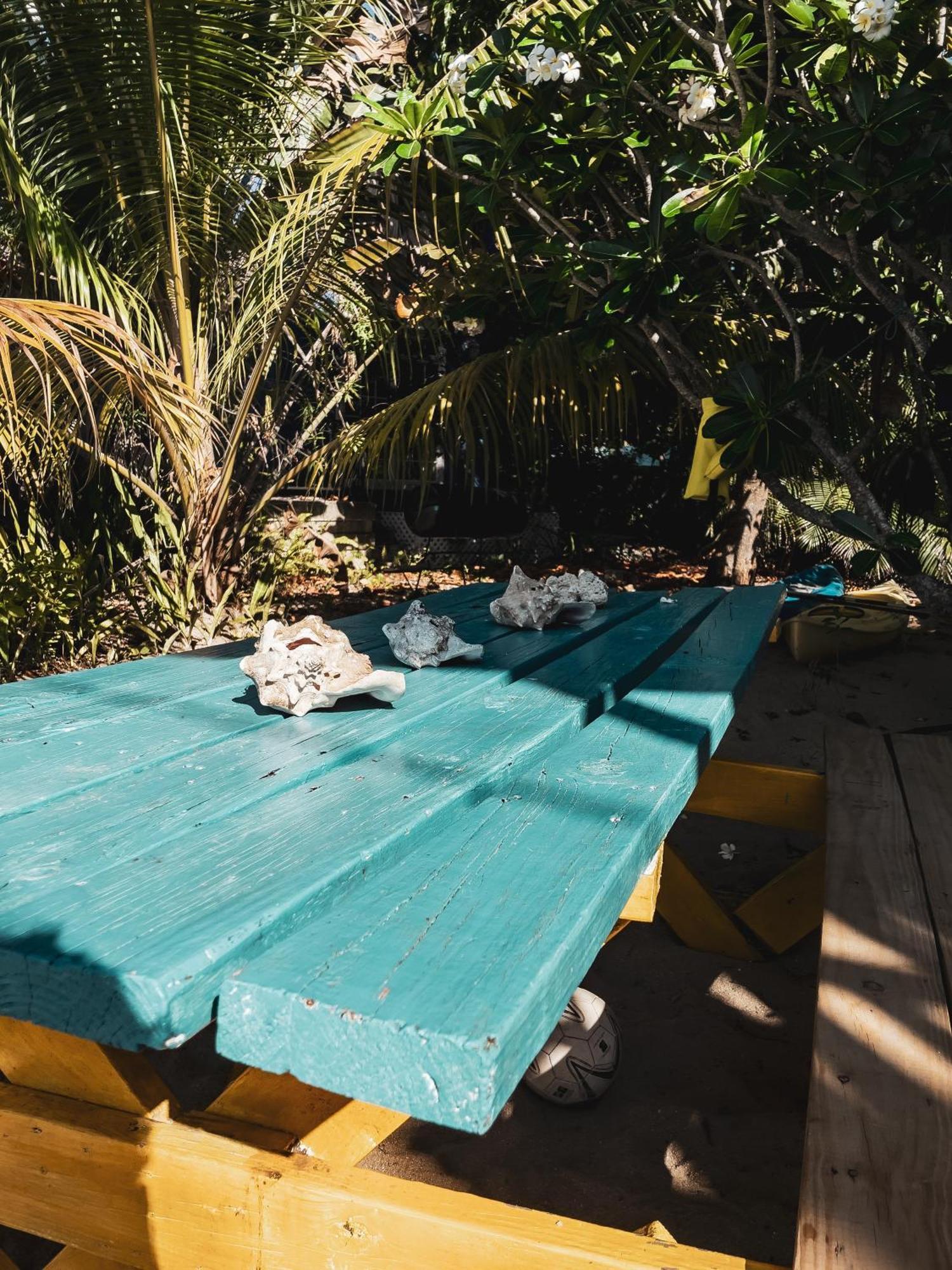Anda Di Hows Hostel Placencia 외부 사진