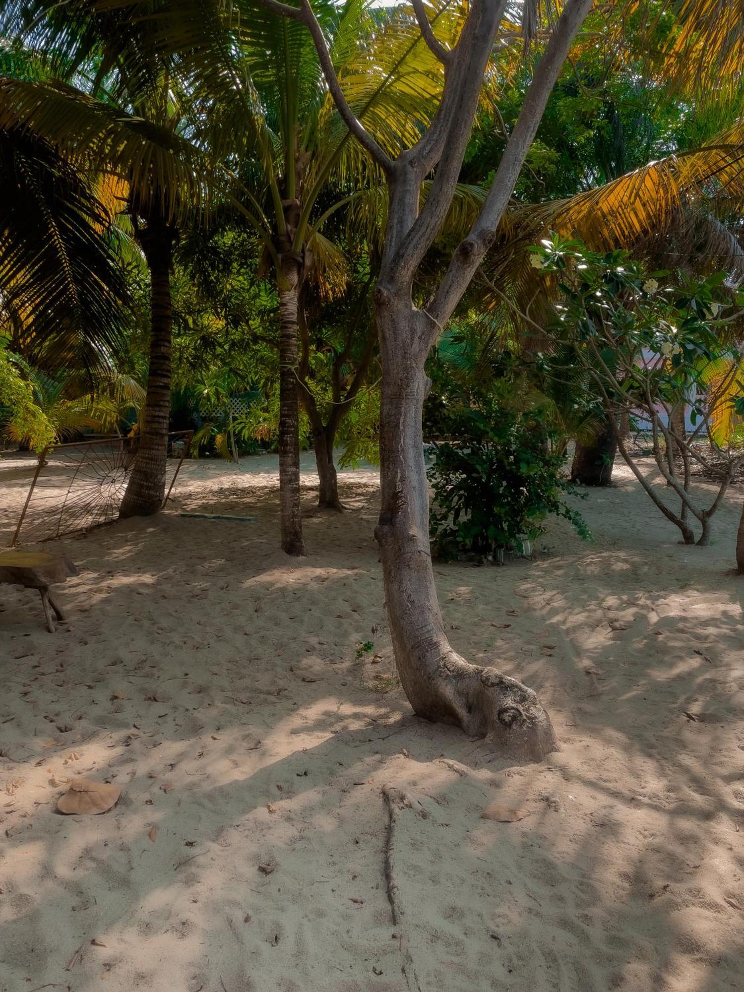 Anda Di Hows Hostel Placencia 외부 사진