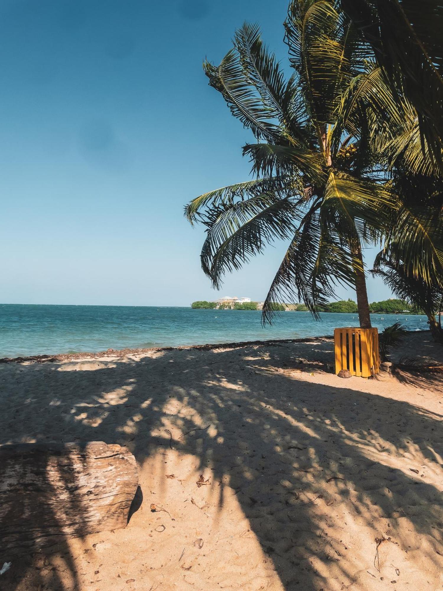 Anda Di Hows Hostel Placencia 외부 사진
