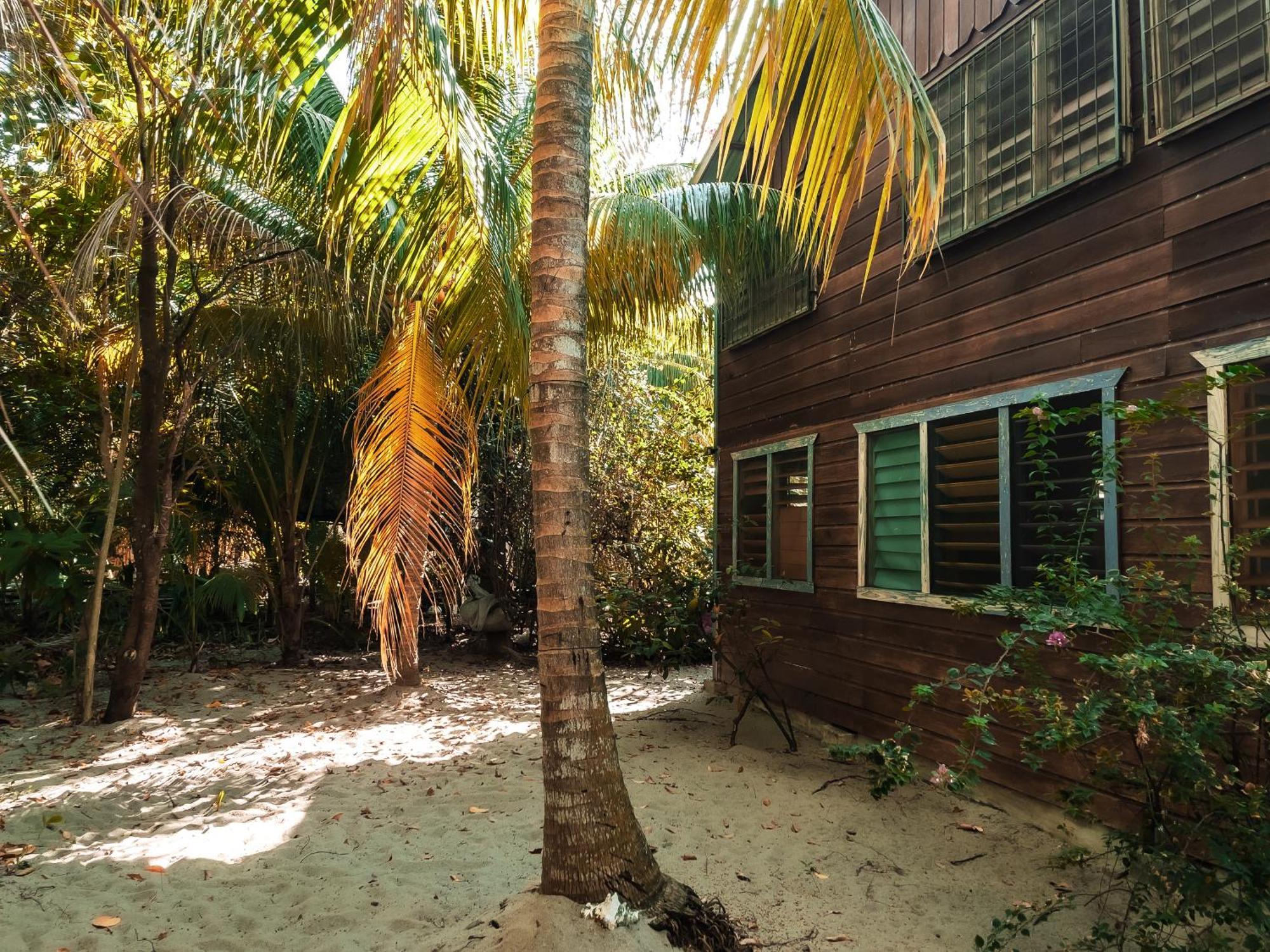 Anda Di Hows Hostel Placencia 외부 사진