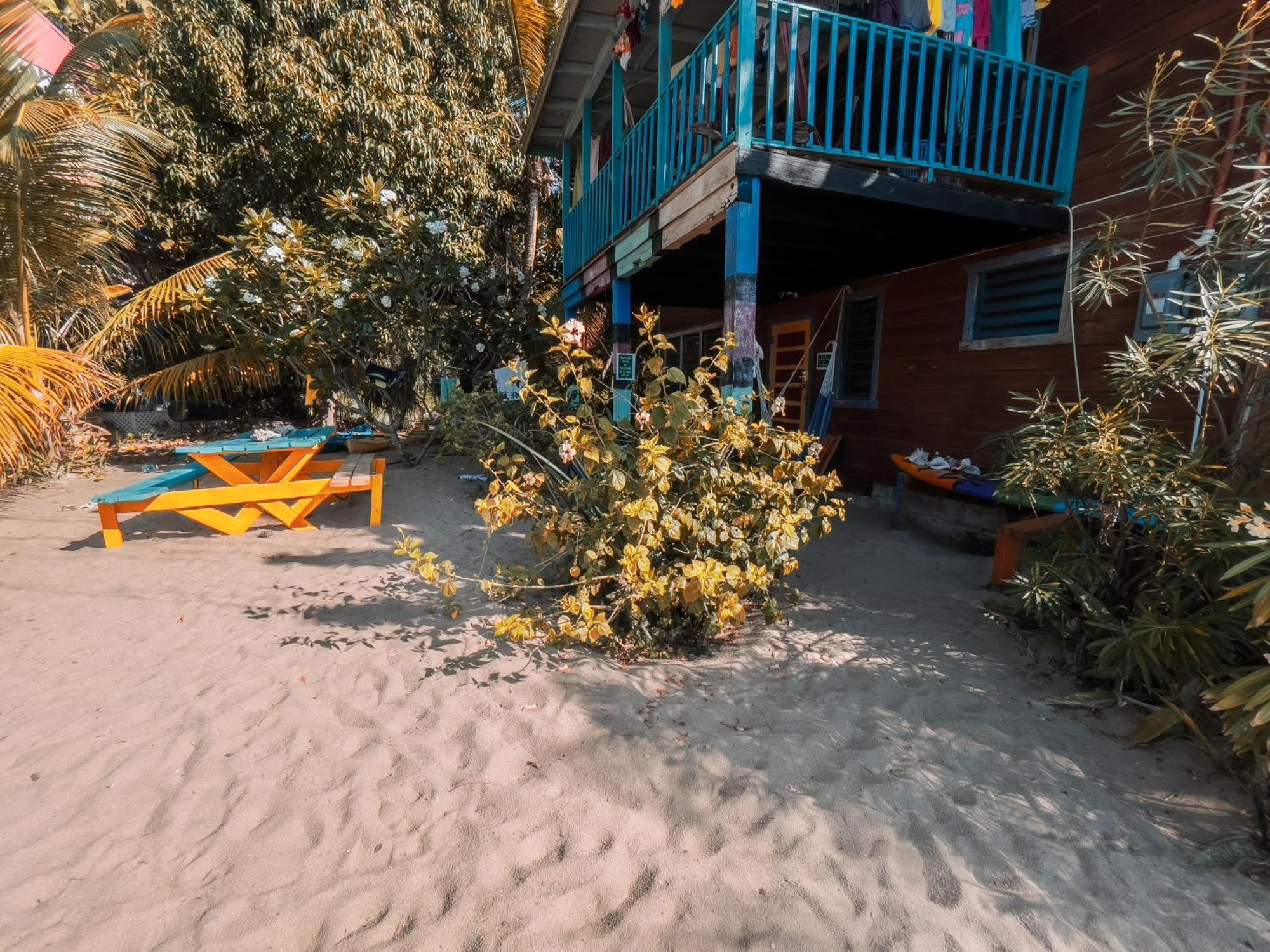Anda Di Hows Hostel Placencia 외부 사진