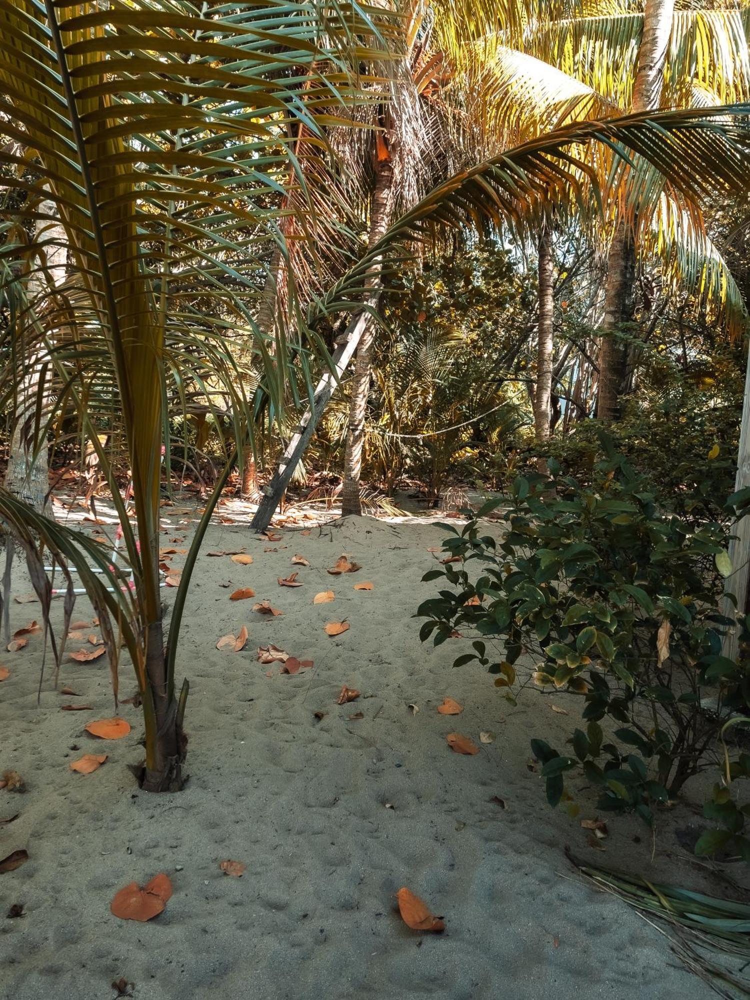 Anda Di Hows Hostel Placencia 외부 사진