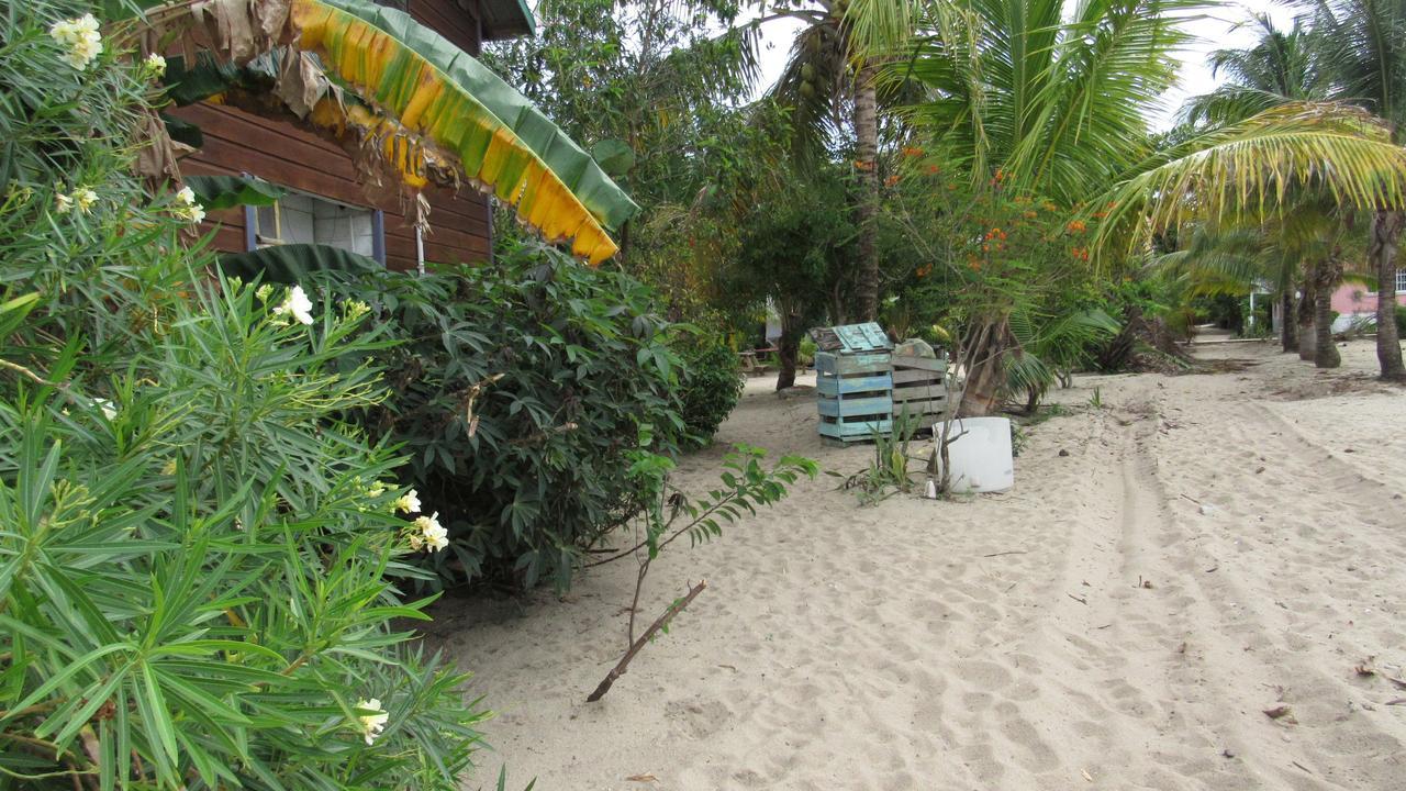Anda Di Hows Hostel Placencia 외부 사진