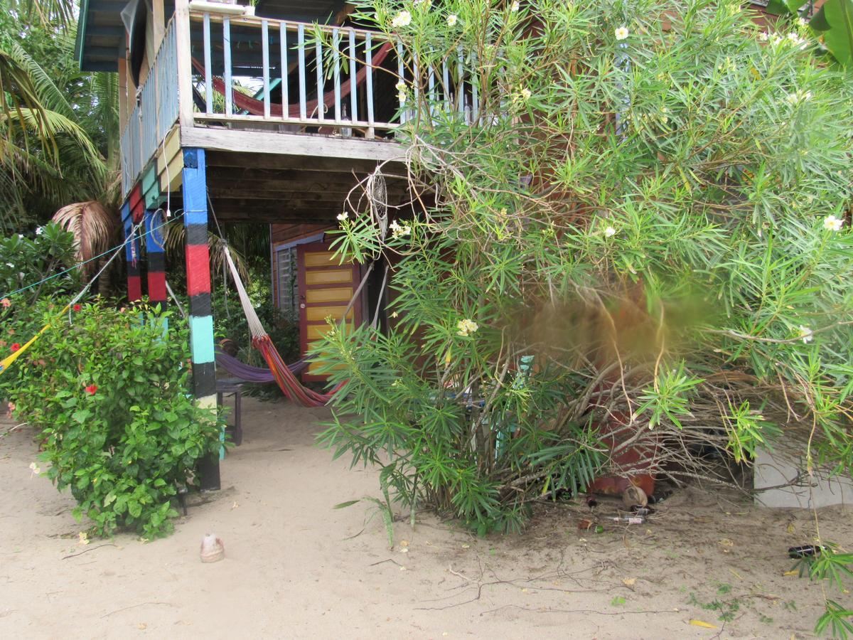 Anda Di Hows Hostel Placencia 외부 사진