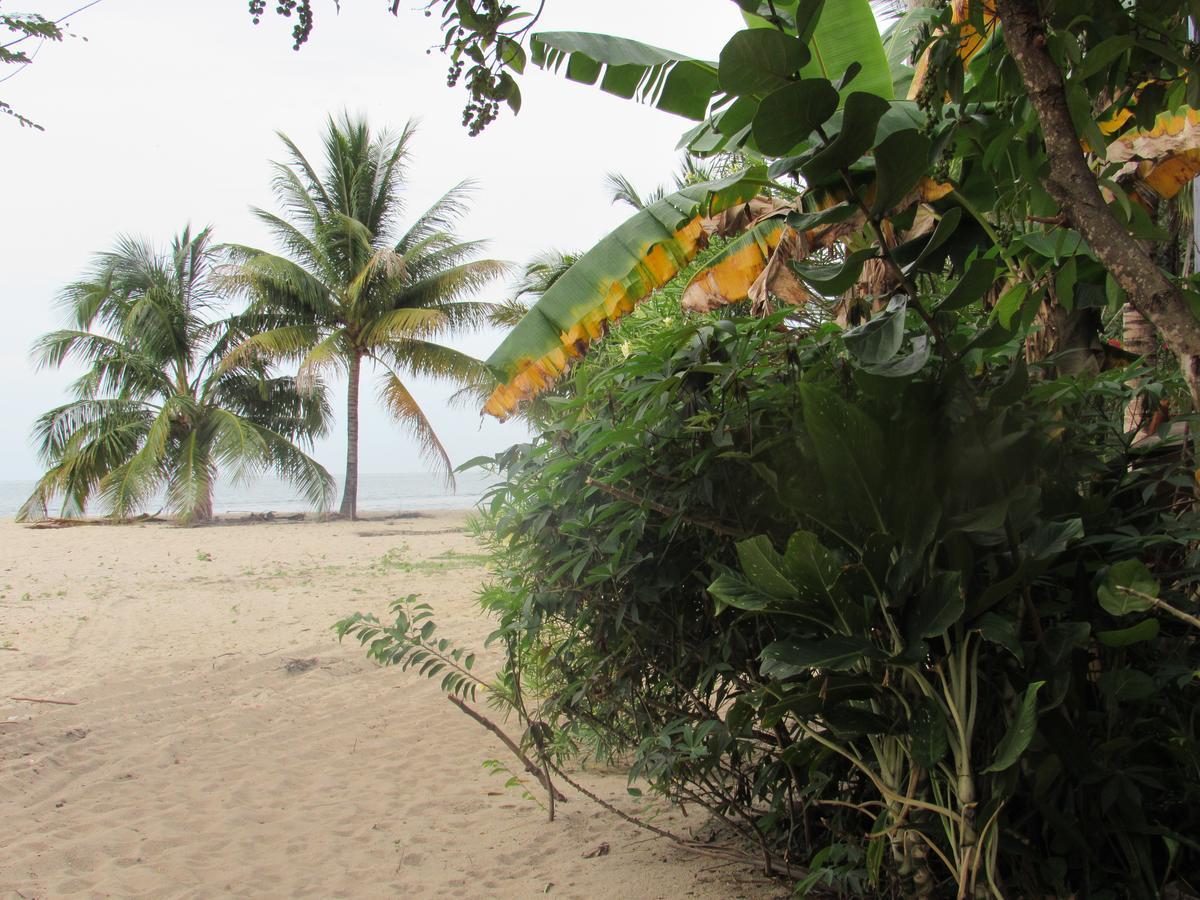 Anda Di Hows Hostel Placencia 외부 사진